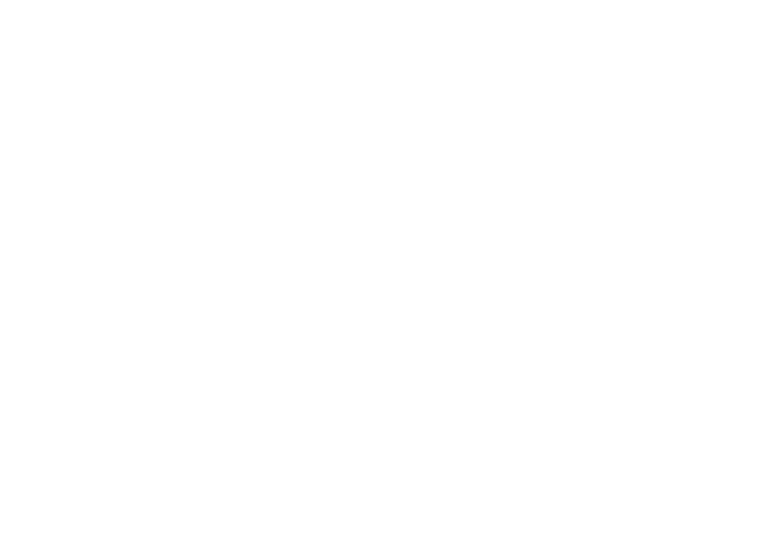 Promt Experience